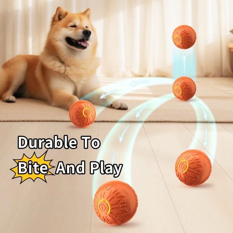 Ball Toys For Dogs Resistance - Pawtastic Pet Supplies