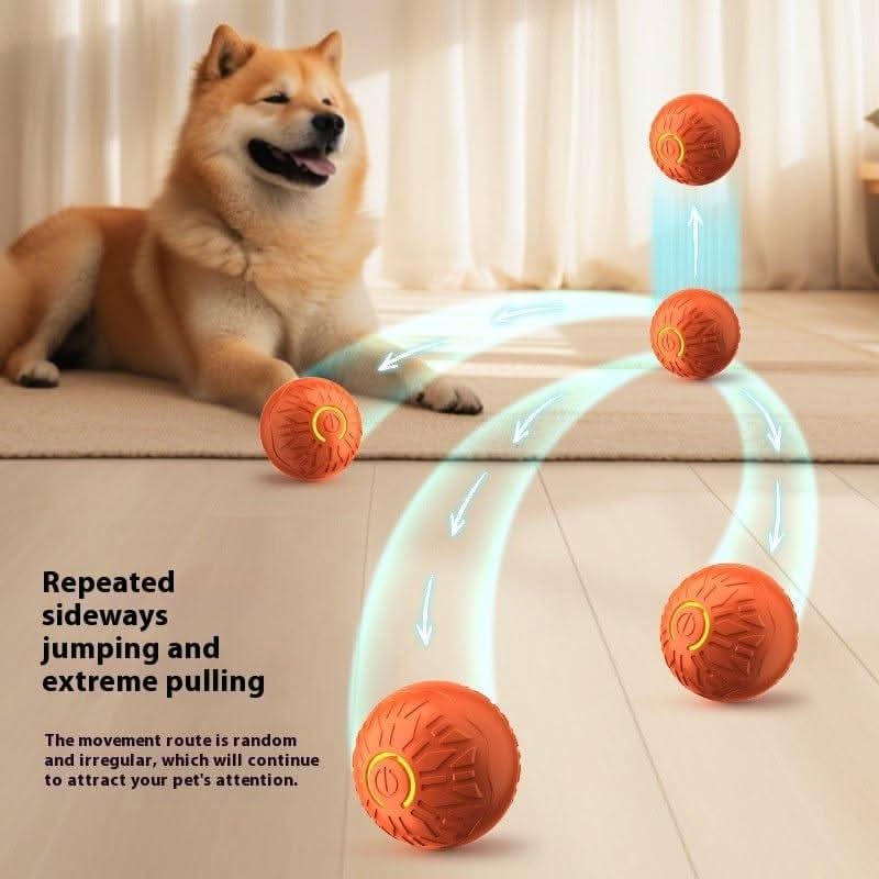 Ball Toys For Dogs Resistance - Pawtastic Pet Supplies