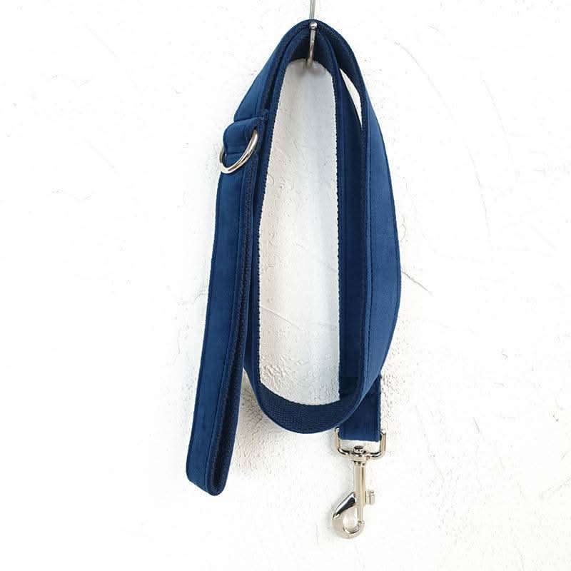Bow pet collar large and small pet traction collar dog chain - Pawtastic Pet Supplies