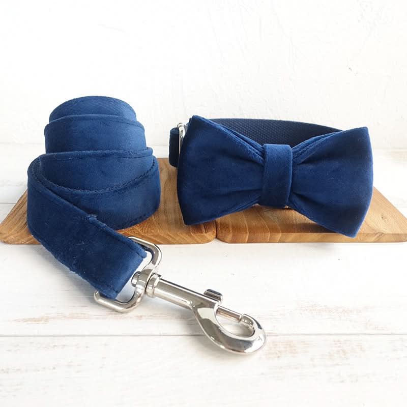 Bow pet collar large and small pet traction collar dog chain - Pawtastic Pet Supplies