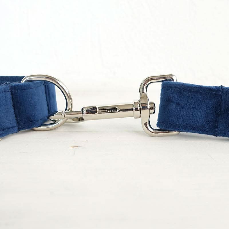 Bow pet collar large and small pet traction collar dog chain - Pawtastic Pet Supplies