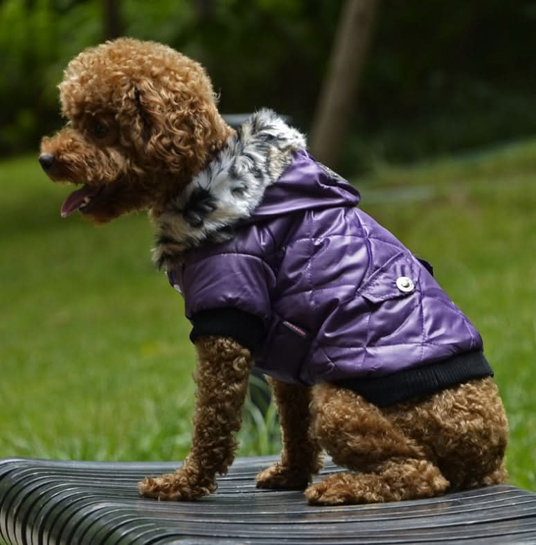 Cross - border pet supplies pet clothes dog clothes autumn and winter fur collar coat pet dog clothing