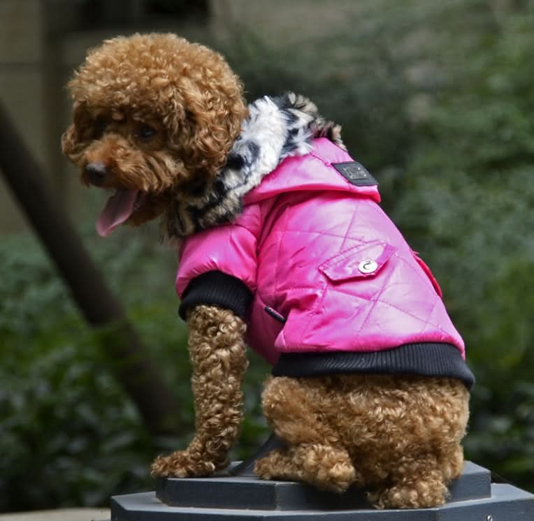 Cross - border pet supplies pet clothes dog clothes autumn and winter fur collar coat pet dog clothing