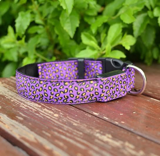 LED Dog Collar Safety Adjustable Nylon Leopard Pet Collar - Pawtastic Pet Supplies