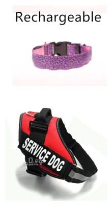 LED Dog Collar Safety Adjustable Nylon Leopard Pet Collar - Pawtastic Pet Supplies