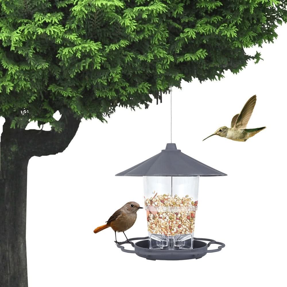 Outdoor Bird Feeder for Your Yard - Pawtastic Pet Supplies