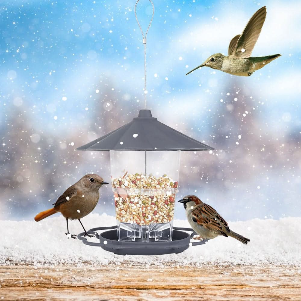 Outdoor Bird Feeder for Your Yard - Pawtastic Pet Supplies