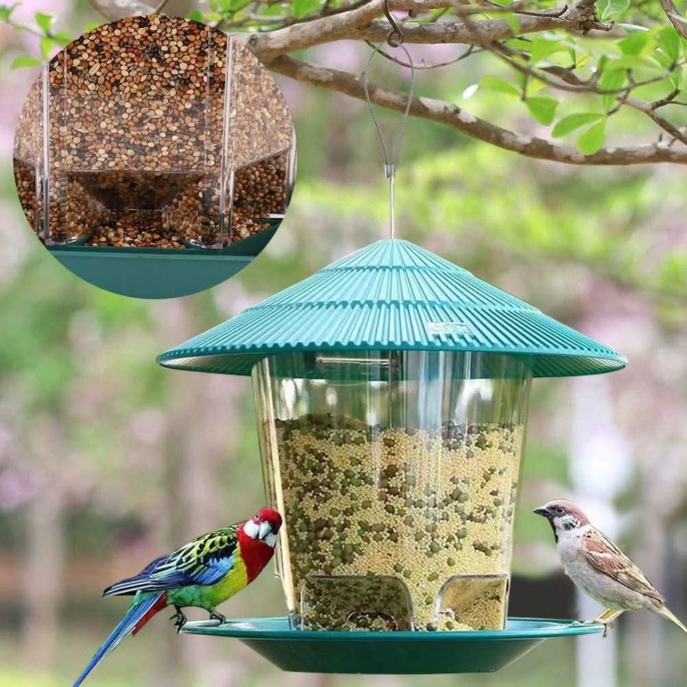 Outdoor Garden Hanging Transparent Bird Feeder - Pawtastic Pet Supplies