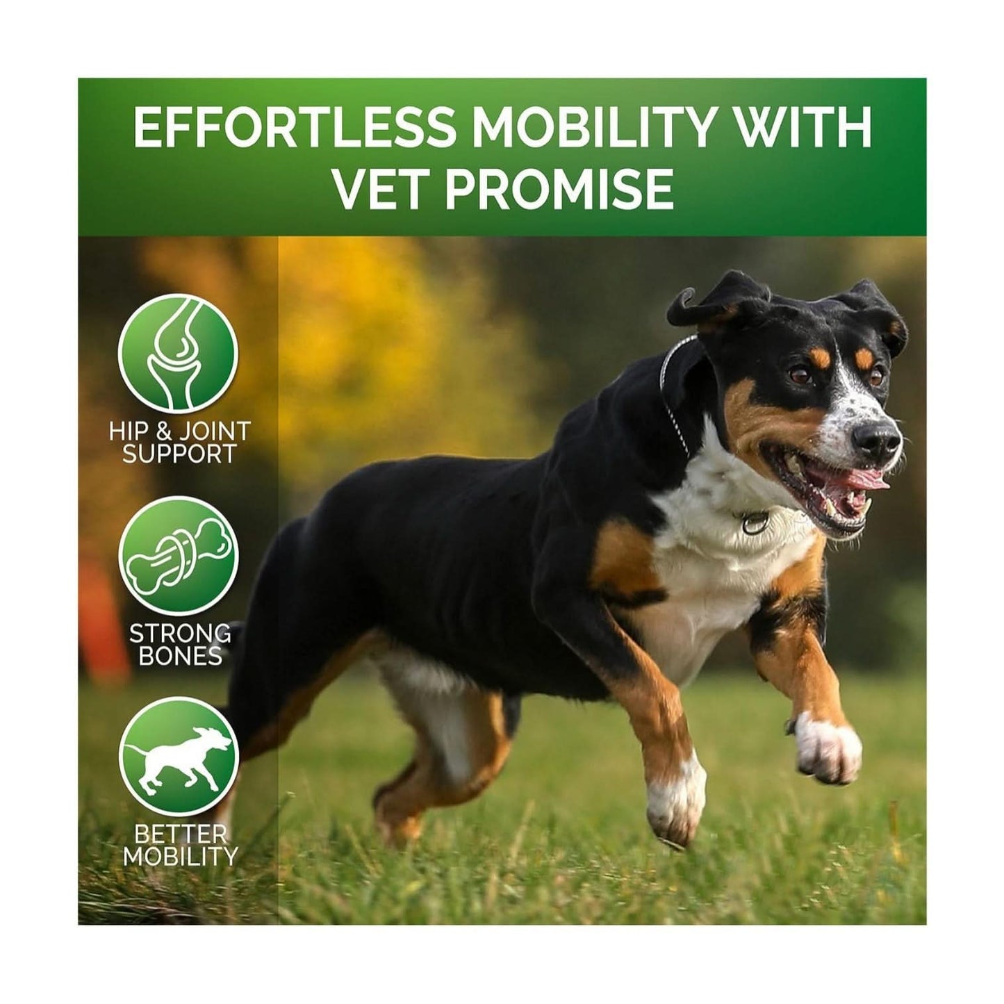 Pet Hip & Joint Supplement Chondroitin - Pawtastic Pet Supplies