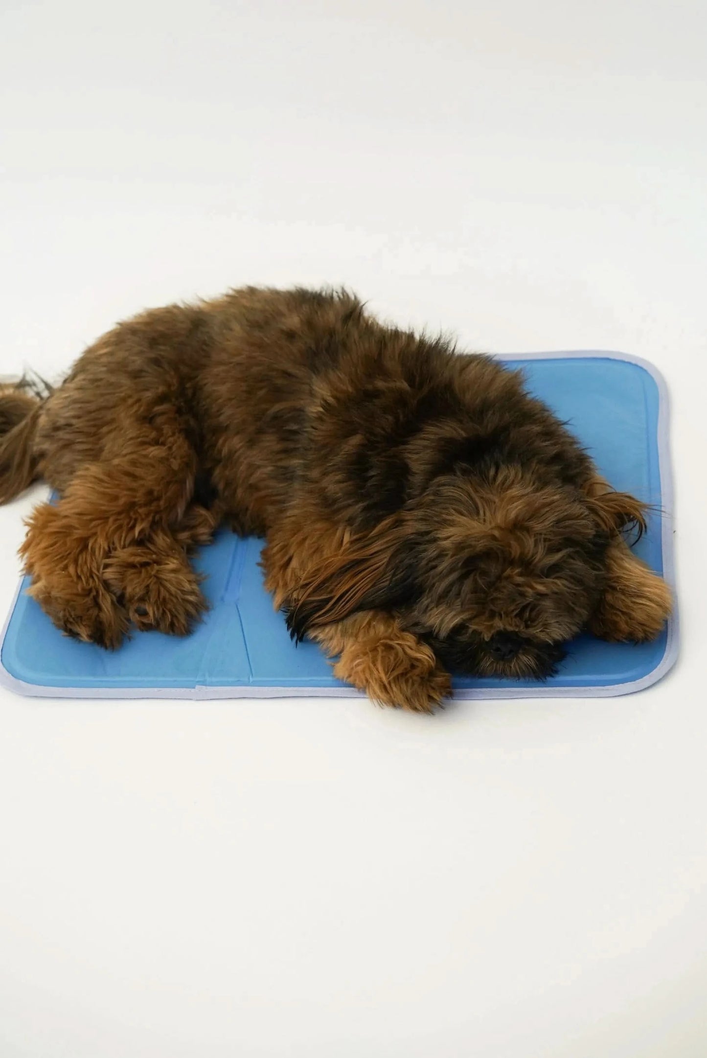 The Green Pet Shop Dog Beds Cool Pet Pad
