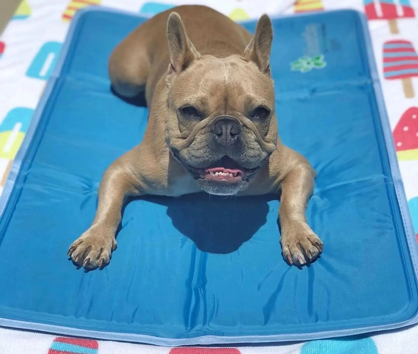The Green Pet Shop Dog Beds XL / 1 Cool Pet Pad