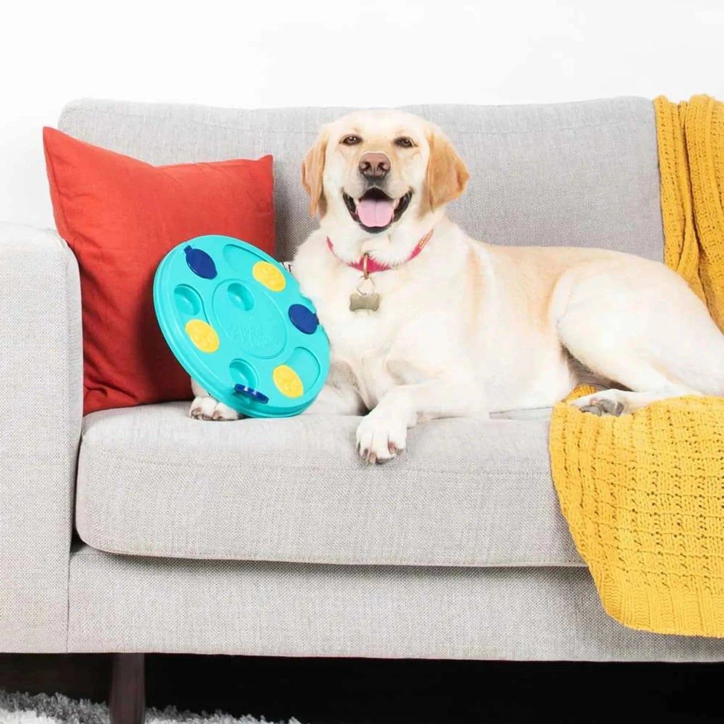 ZippyPaws Smarty Paws Puzzler - Pawtastic Pet Supplies