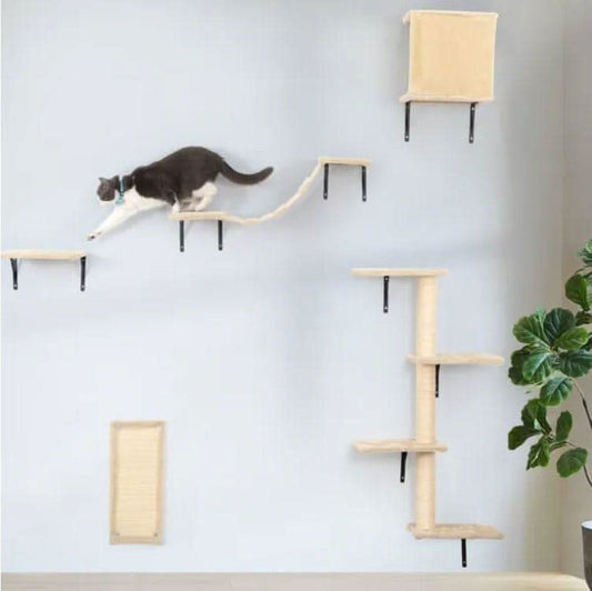 5 Pcs Wall Mounted - Pawtastic Pet Supplies