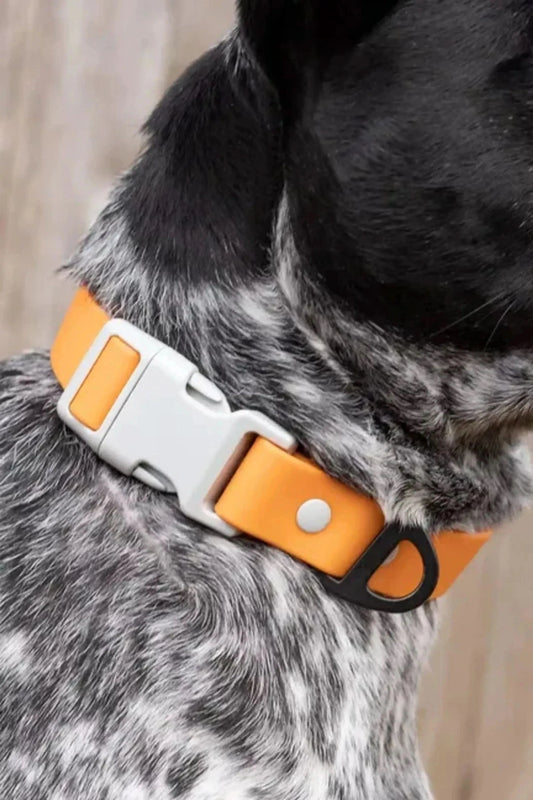 Aria the Fox Dog Collars Crimson Glow Waterproof Dog Collar
