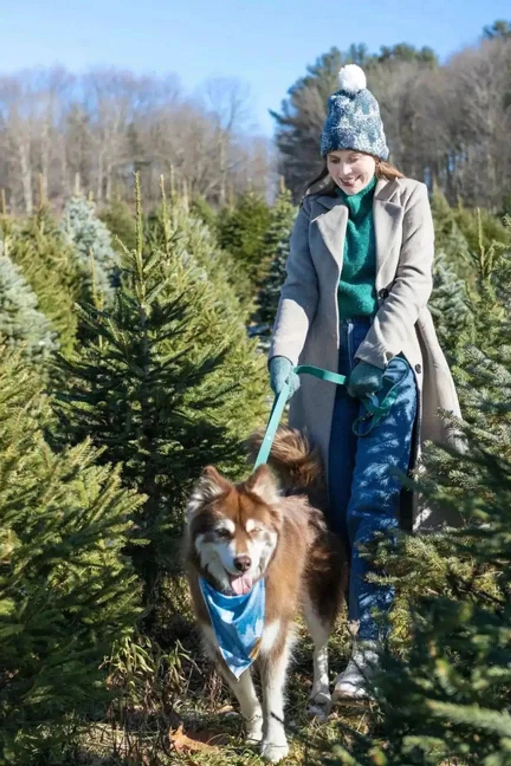 Aria the Fox Dog Collars Siberian Spruce Waterproof Dog Collar