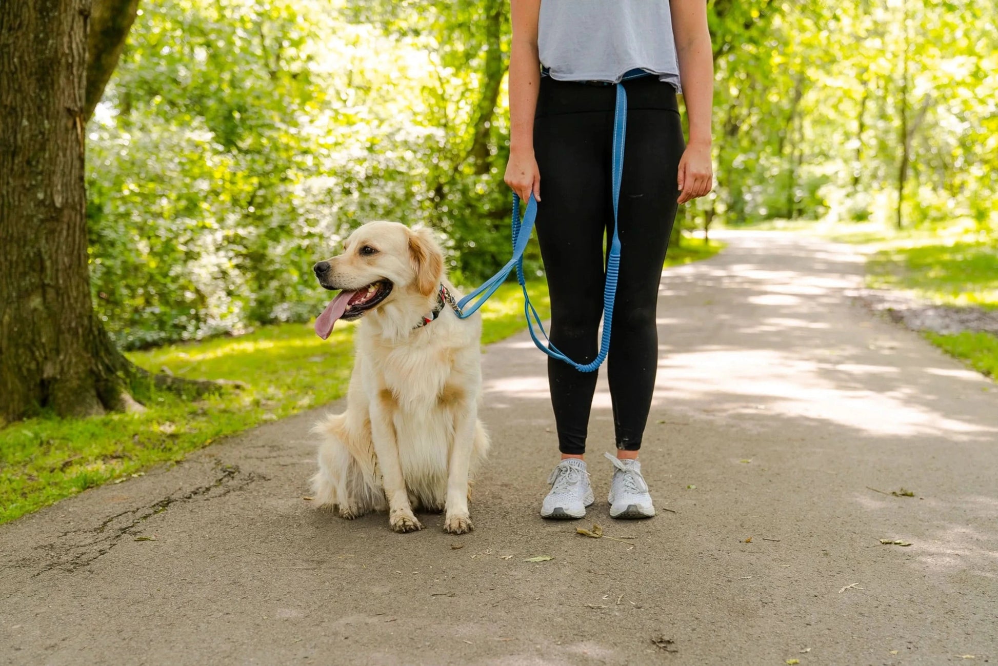 Cascades Metallic Blue Stretchable Runner Dog Leash - Pawtastic Pet Supplies