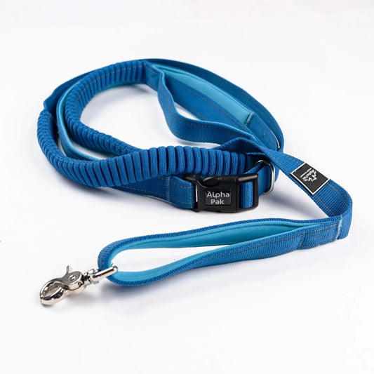 Cascades Metallic Blue Stretchable Runner Dog Leash - Pawtastic Pet Supplies