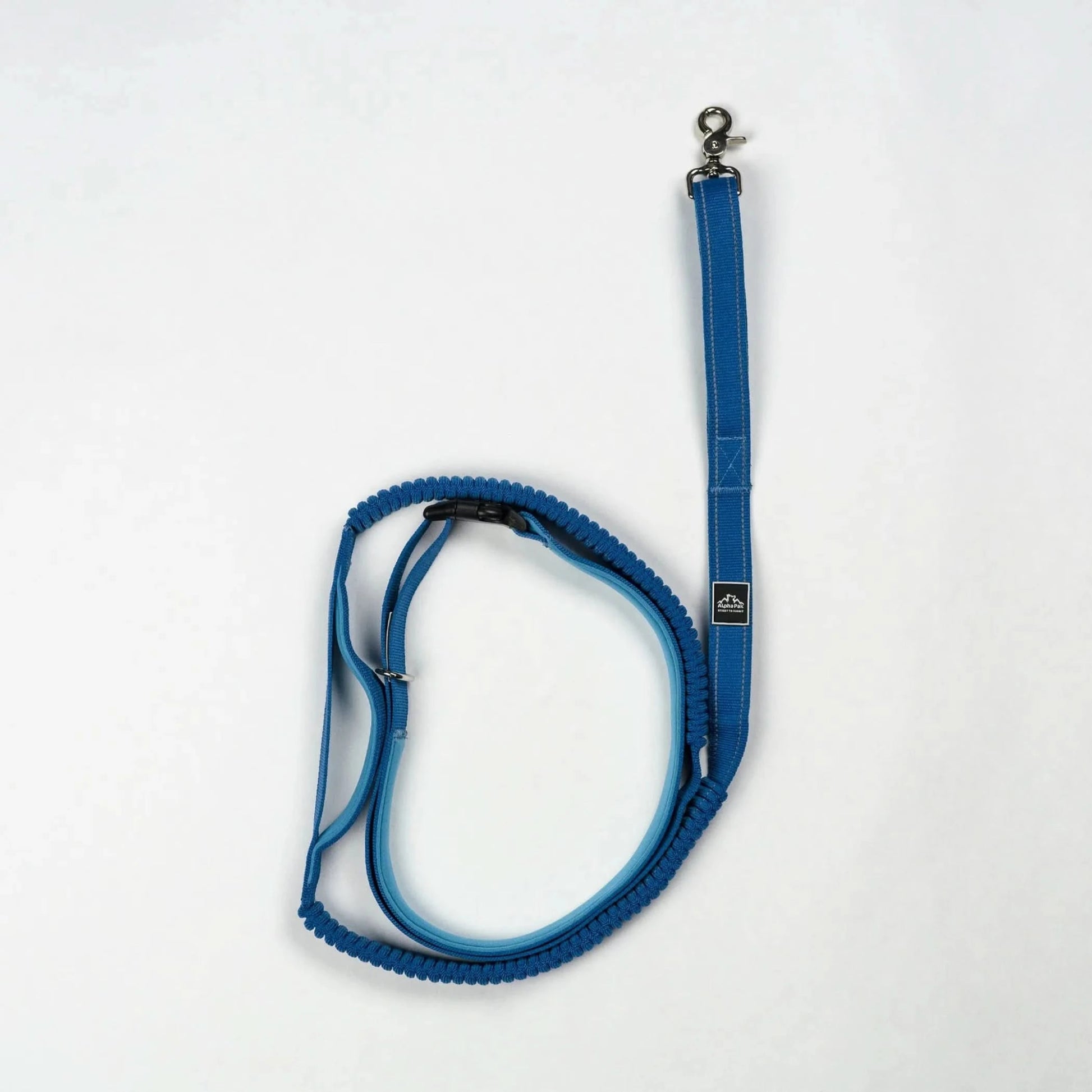 Cascades Metallic Blue Stretchable Runner Dog Leash - Pawtastic Pet Supplies