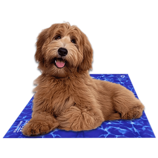Chillz Gel Mat - Pawtastic Pet Supplies
