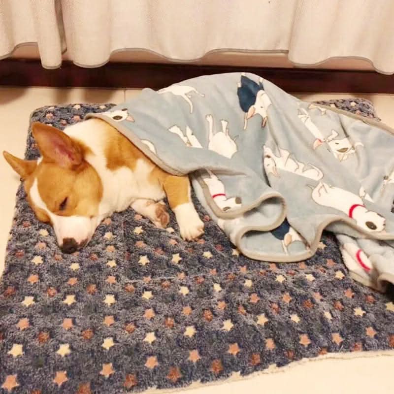 Digger's Accessory Deluxe Washable Plush Pet Bed, Reversible Fleece Crate Mat with Anti-Slip Bottom for Dogs & Cats