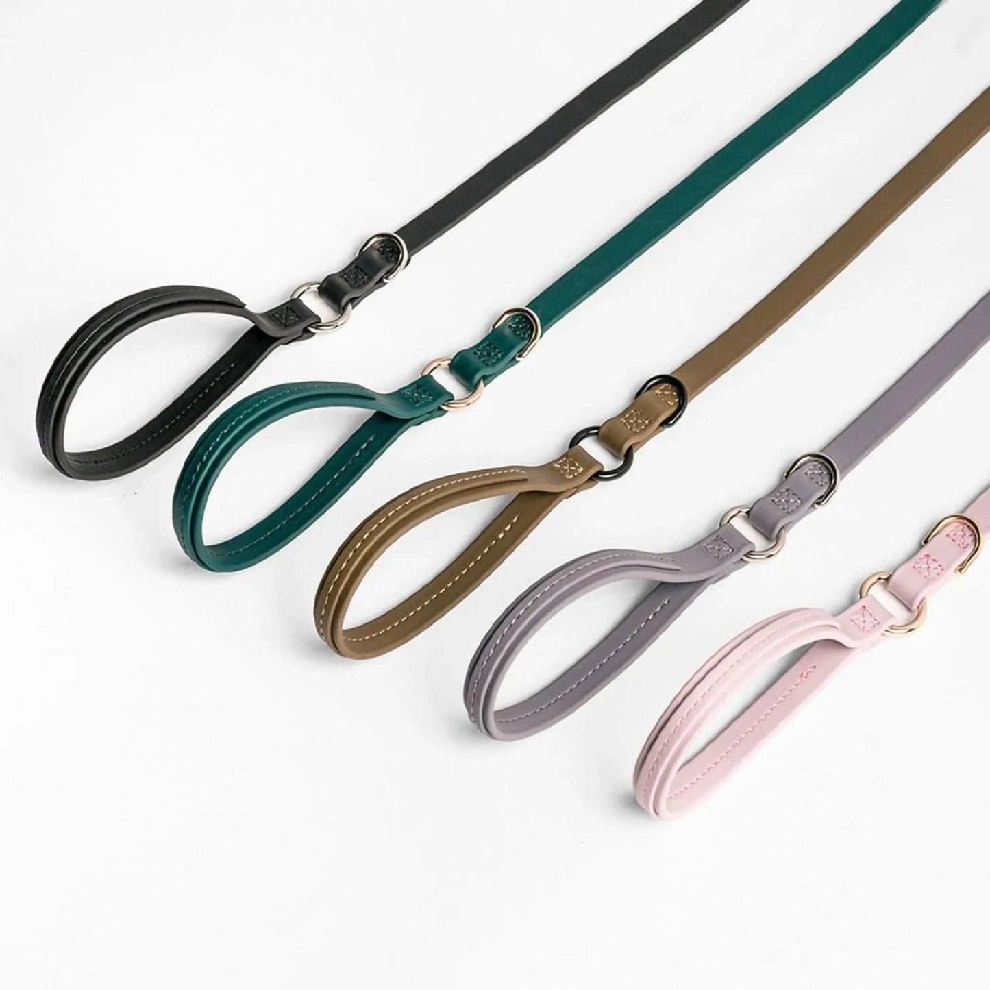 Jump Around Dog Leash - Pawtastic Pet Supplies