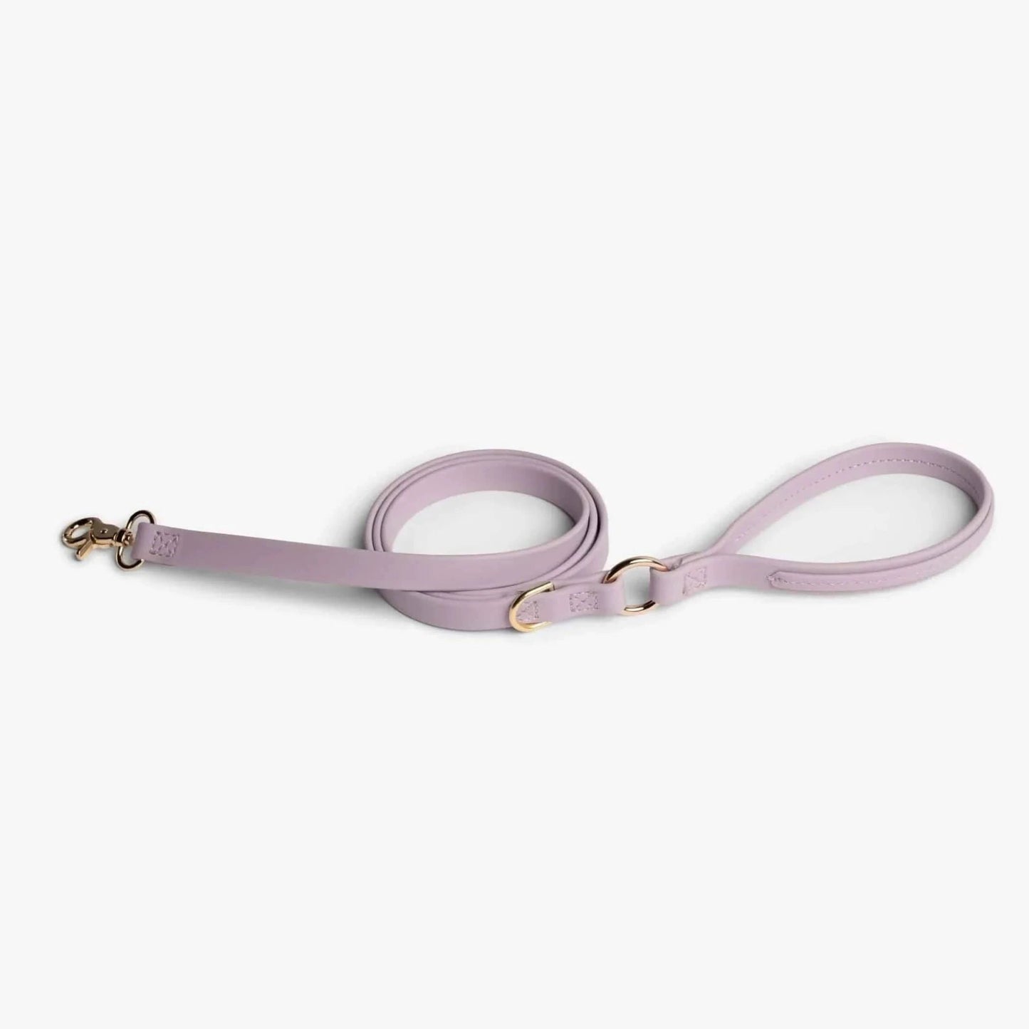 Jump Around Dog Leash - Pawtastic Pet Supplies