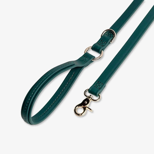 Jump Around Dog Leash - Pawtastic Pet Supplies