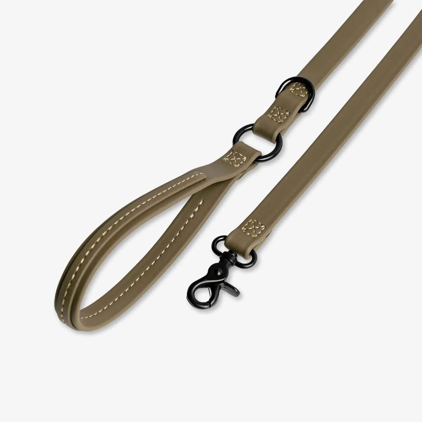 Jump Around Dog Leash - Pawtastic Pet Supplies