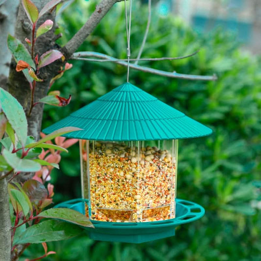 Outdoor Garden Hanging Transparent Bird Feeder - Pawtastic Pet Supplies