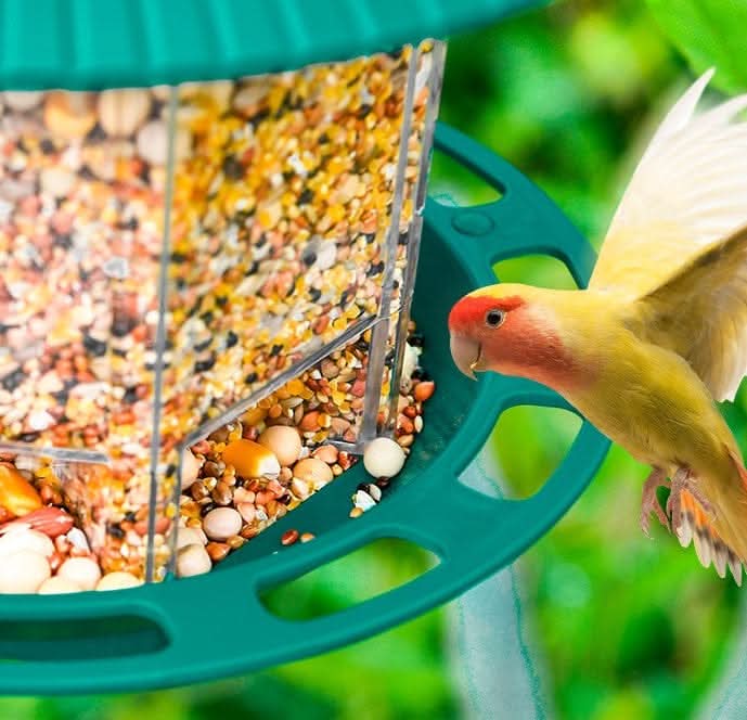 Outdoor Garden Hanging Transparent Bird Feeder - Pawtastic Pet Supplies