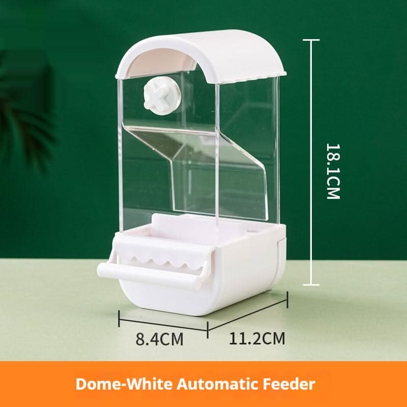 Parrot Automatic Pet Feeder Food Container - Pawtastic Pet Supplies