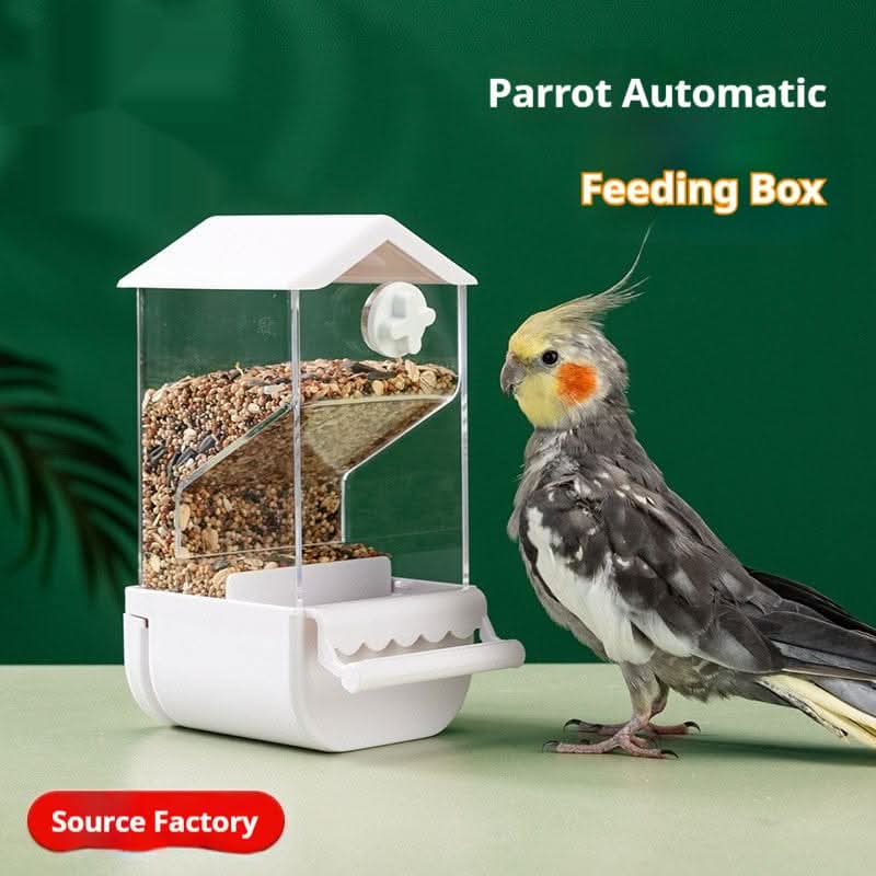 Parrot Automatic Pet Feeder Food Container - Pawtastic Pet Supplies