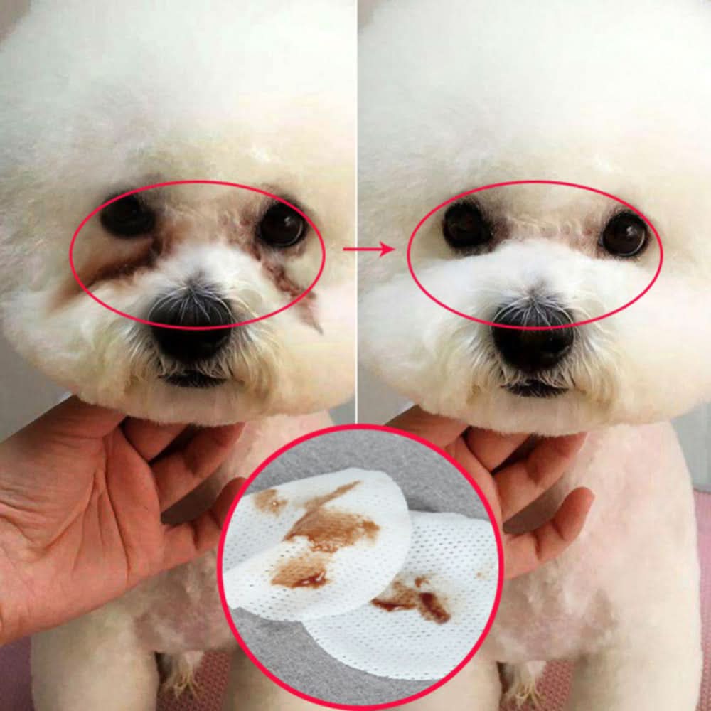 Pet Eye Grooming Wipes Dog Cat Eyes Gentle Tear Stain Cleaning Wet Wipes Hygienic Grooming Pet Wipes - Pawtastic Pet Supplies