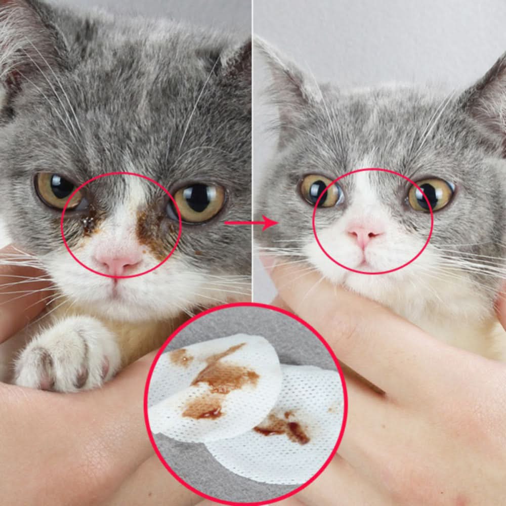 Pet Eye Grooming Wipes Dog Cat Eyes Gentle Tear Stain Cleaning Wet Wipes Hygienic Grooming Pet Wipes - Pawtastic Pet Supplies