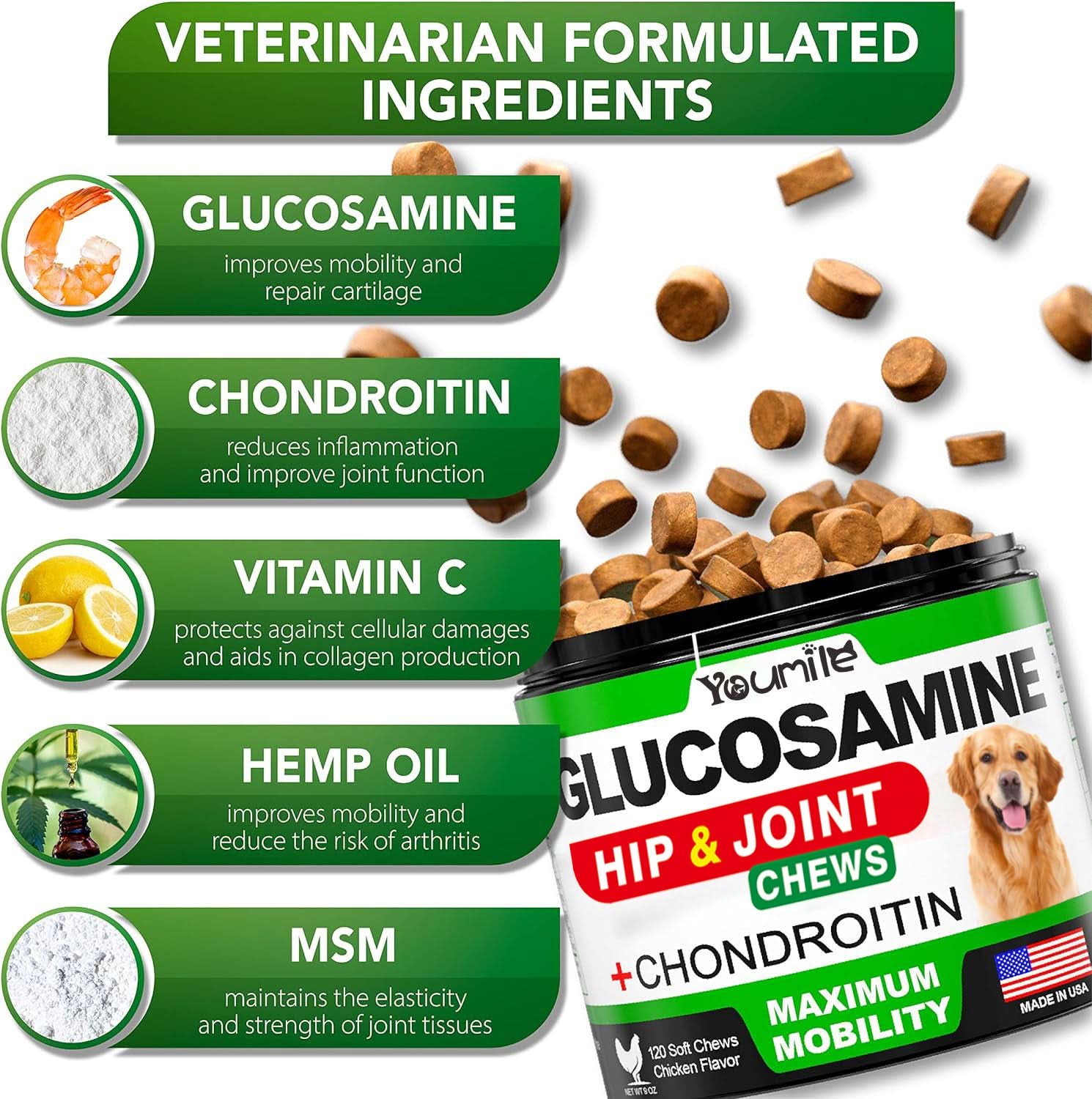 Pet Hip & Joint Supplement Chondroitin - Pawtastic Pet Supplies