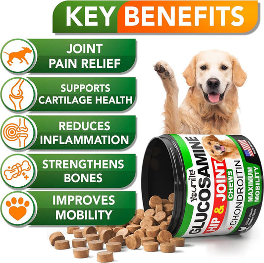 Pet Hip & Joint Supplement Chondroitin - Pawtastic Pet Supplies