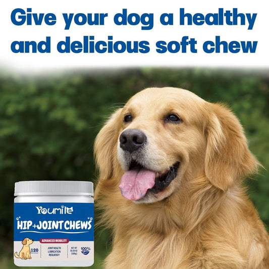 Pet Hip Joint Supplement Dog Glucosamine Chondroitin - Pawtastic Pet Supplies