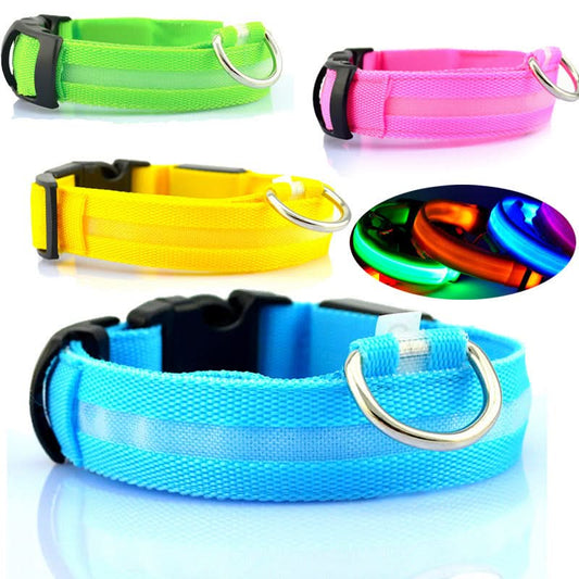 Safety Dog LED Collar - Pawtastic Pet Supplies