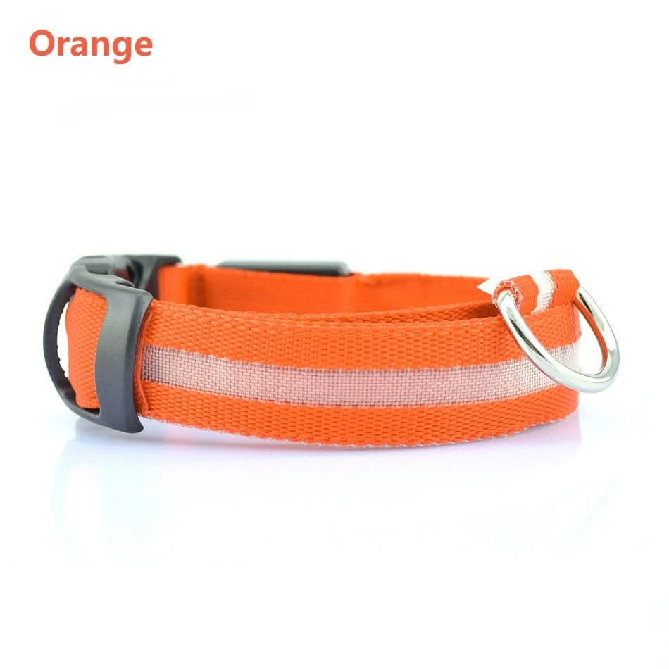 Safety Dog LED Collar - Pawtastic Pet Supplies