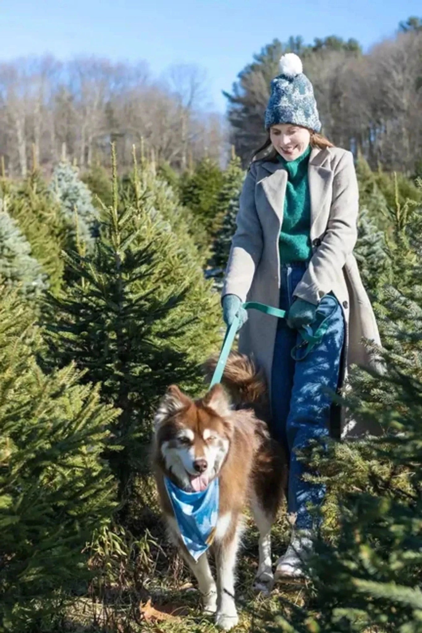 Siberian Spruce Waterproof Dog Leash - Pawtastic Pet Supplies