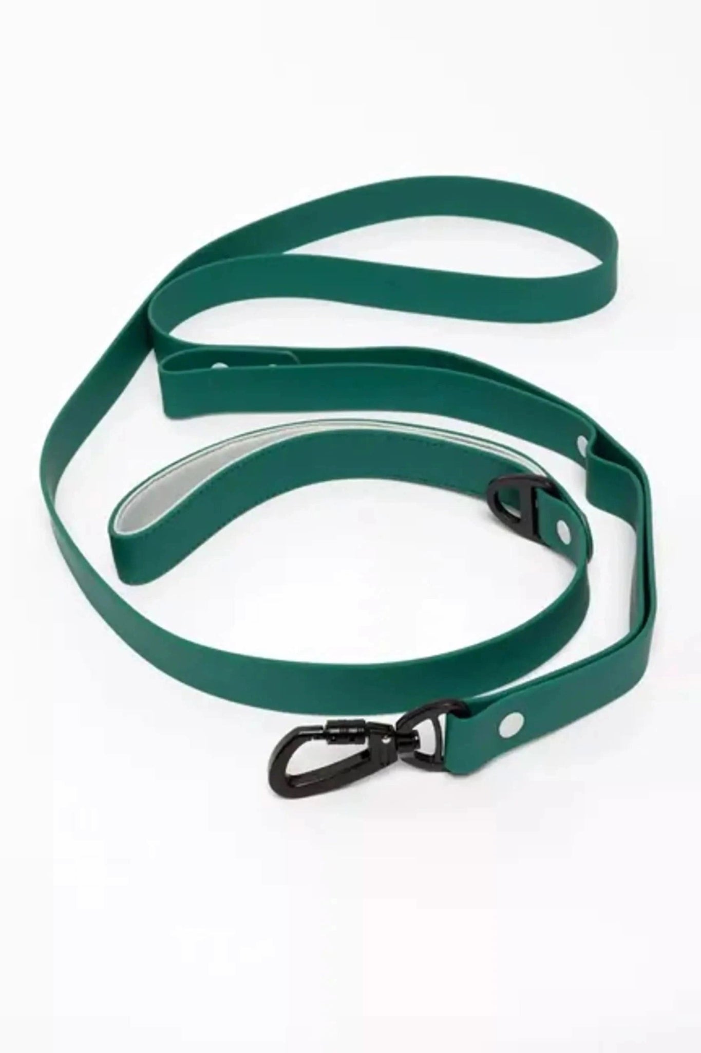 Siberian Spruce Waterproof Dog Leash - Pawtastic Pet Supplies