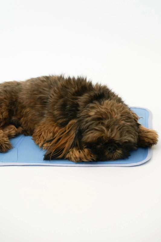 The Green Pet Shop Dog Beds Cool Pet Pad