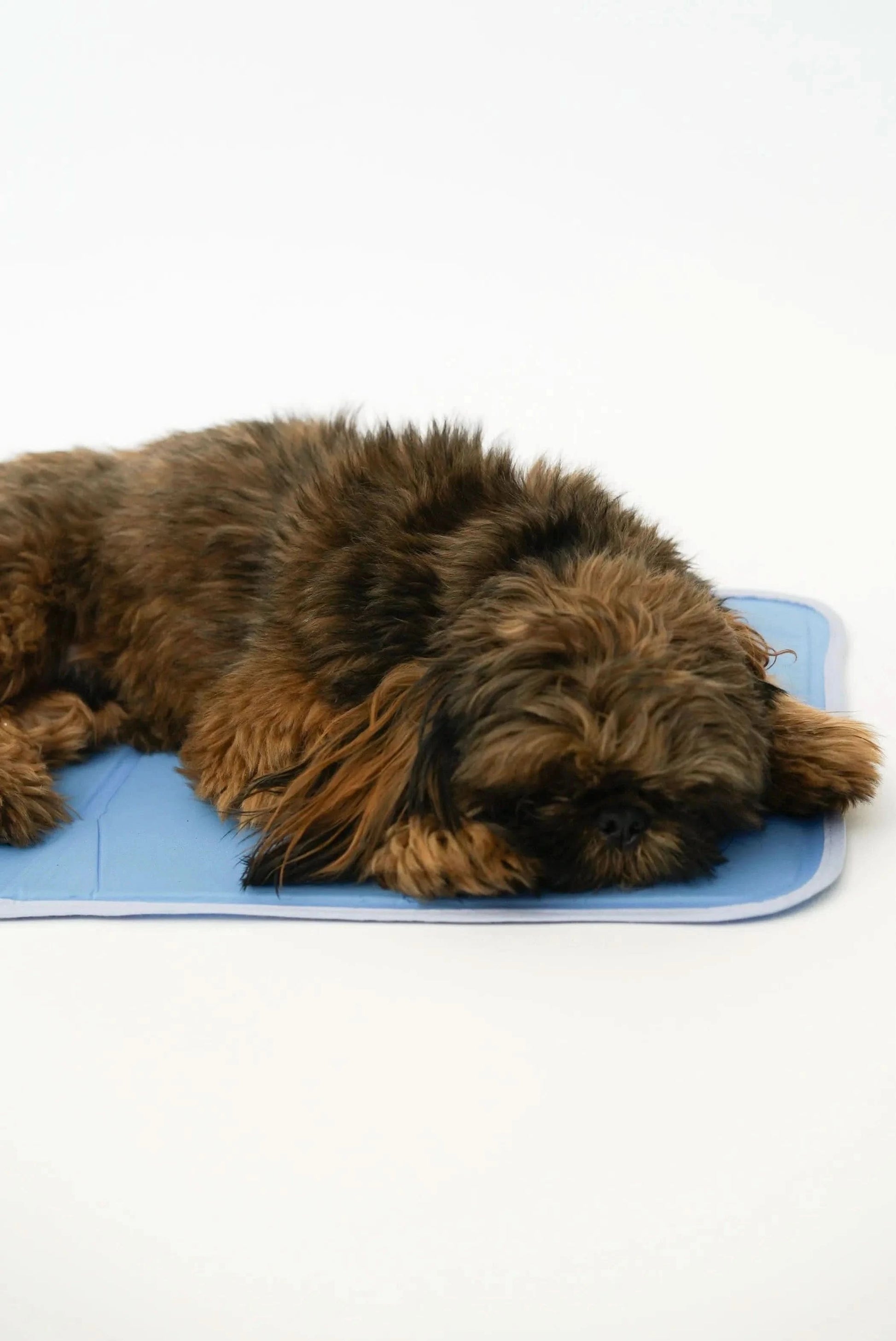 The Green Pet Shop Dog Beds XS / 1 Cool Pet Pad