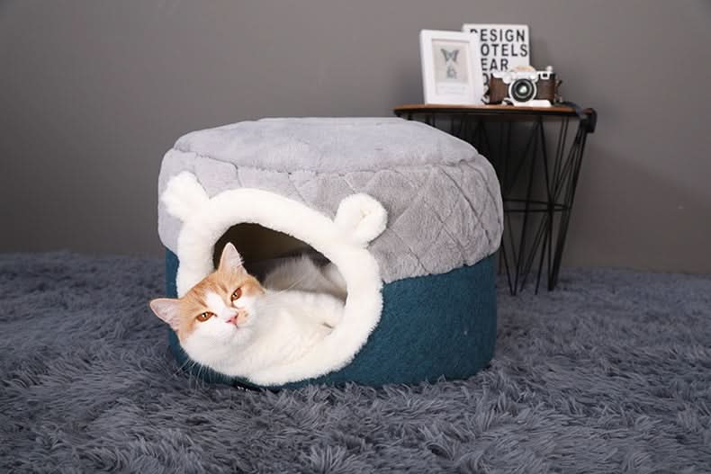 Warm cat litter - Pawtastic Pet Supplies